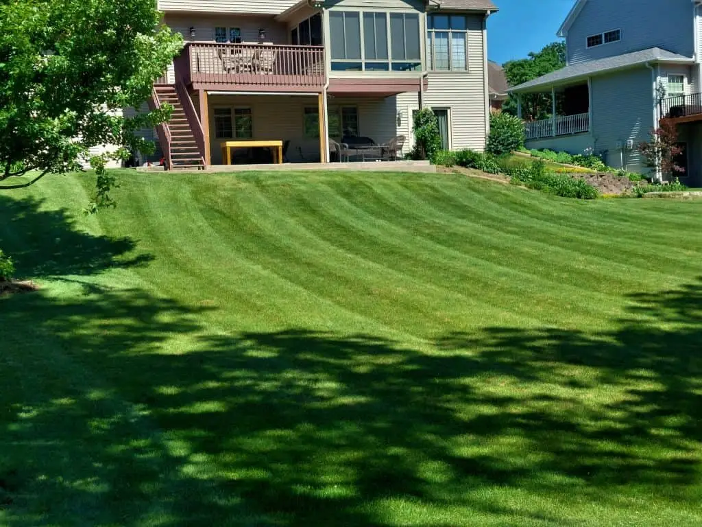 lawn care - mowing